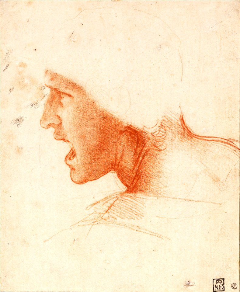 Leonardo da Vinci - Study of a Warrior's Head for the Battle of Anghiari - Google Art Project