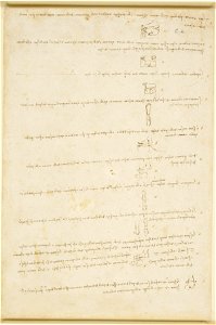 Leonardo da Vinci - RCIN 919133, Recto The proportions of the foot and hand