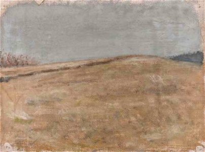 Leopold Blauensteiner ABGEERNTETES FELD 1899