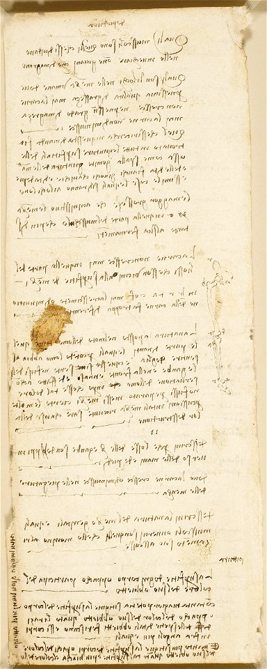 Leonardo da Vinci - RCIN 919141, Recto Notes on anatomy and optics