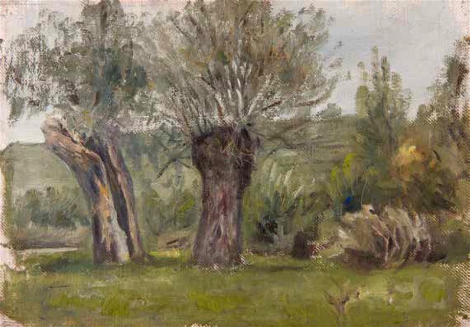 Leopold Blauensteiner WEIDEN 1899 2