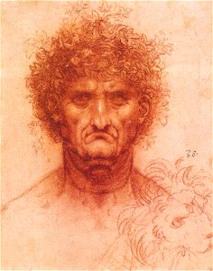 Leonardo da vinci, Old man with ivy wreath and lion's head