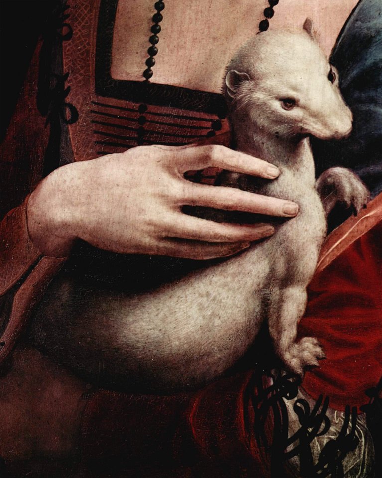 Leonardo da Vinci 047