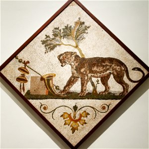 Leopard Sangangelo MAN Napoli