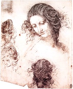 Leonardo da vinci, Head of Leda. Free illustration for personal and commercial use.