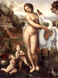 Leda and the Swan 1510-1515. Free illustration for personal and commercial use.