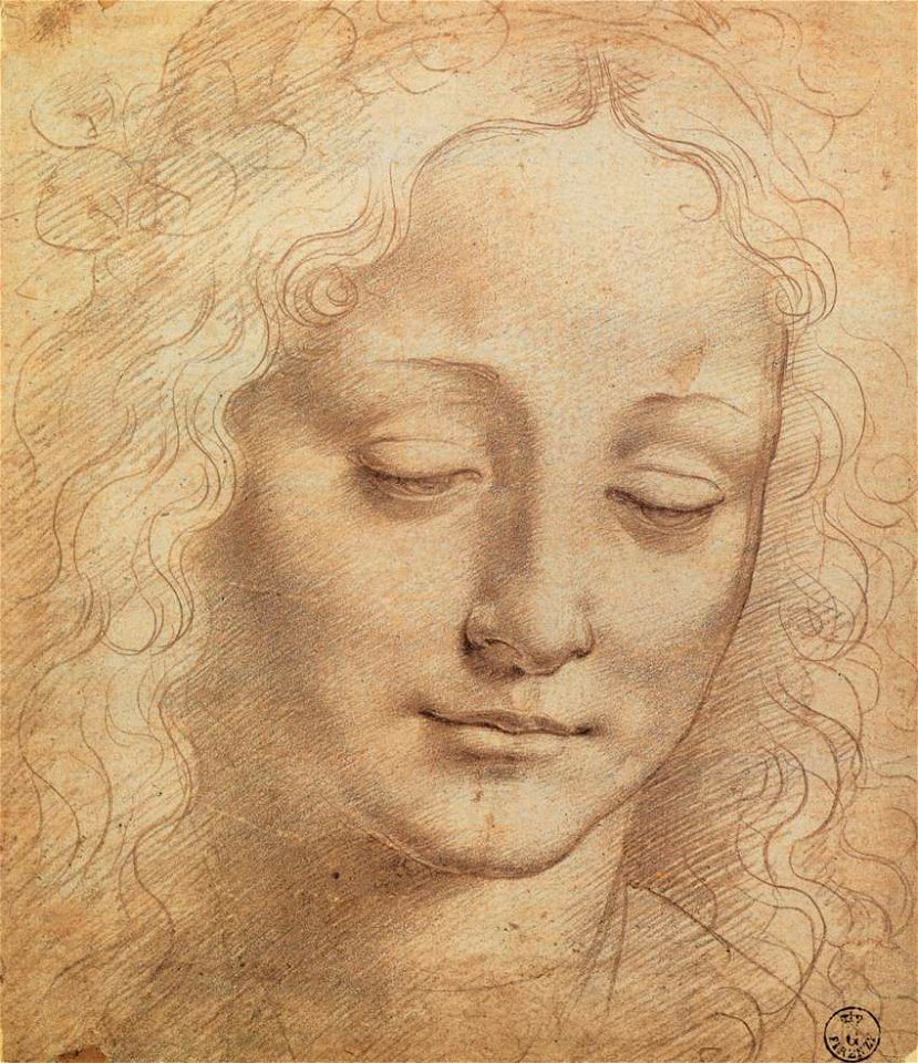 Leonardo da vinci, Female Head