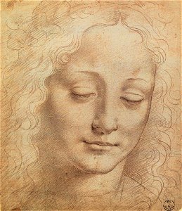 Leonardo da vinci, Female Head