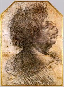 Leonardo da vinci, Grotesque head
