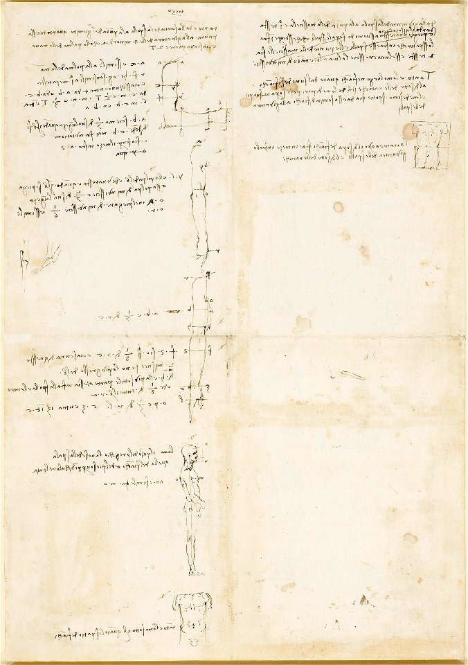 Leonardo da Vinci - RCIN 919136, Recto Studies of human proportion