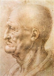 Leonardo da vinci, Profile of an old man