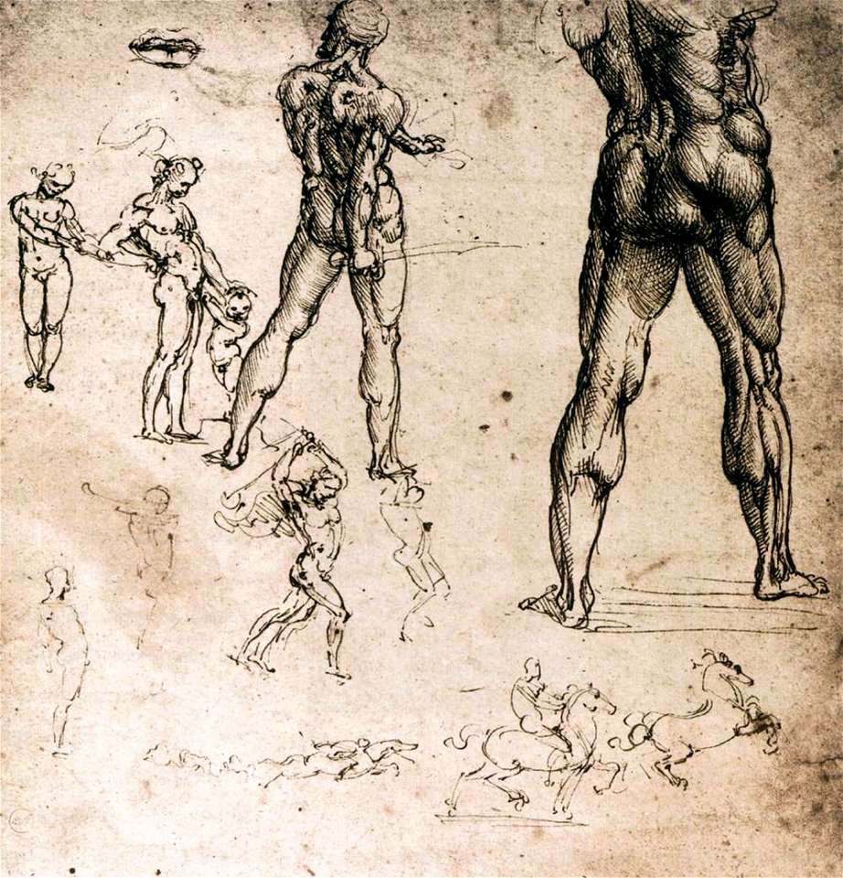 Leonardo da vinci, Figure studies