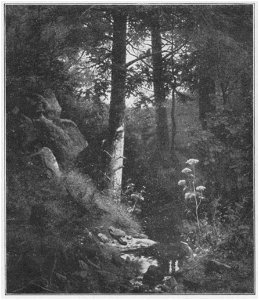 Jahrhundertausstellung 1906 KatNr. 1037