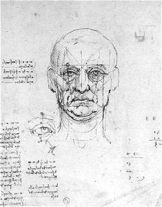 Leonardo da vinci, Study on the proportions of head and eyes. Free illustration for personal and commercial use.