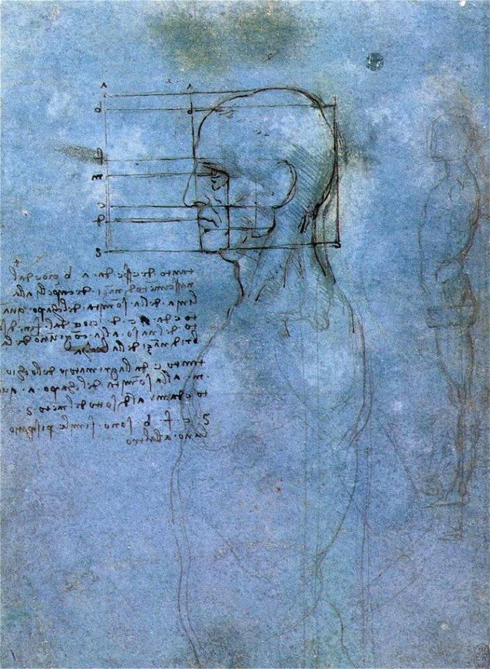 Leonardo da vinci, Study of man proportion
