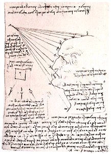 Leonardo da vinci, Study of the effect of light on a profile head (facsimile)