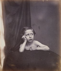 Leonida Caldesi - Prince Arthur (1850 - 1942), later Prince Arthur, Duke of Connaught - Google Art Project