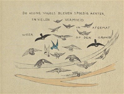 Leroidesoiseaux-15