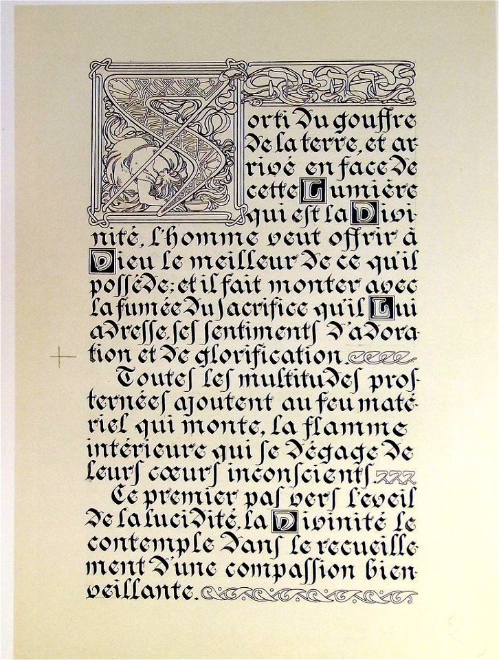 Lepater12