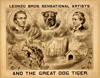 Leonzo Bros. sensational artists and the great dog, Tiger LCCN2014635896