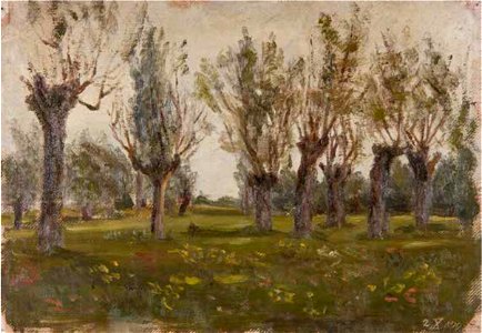 Leopold Blauensteiner WEIDEN 1899