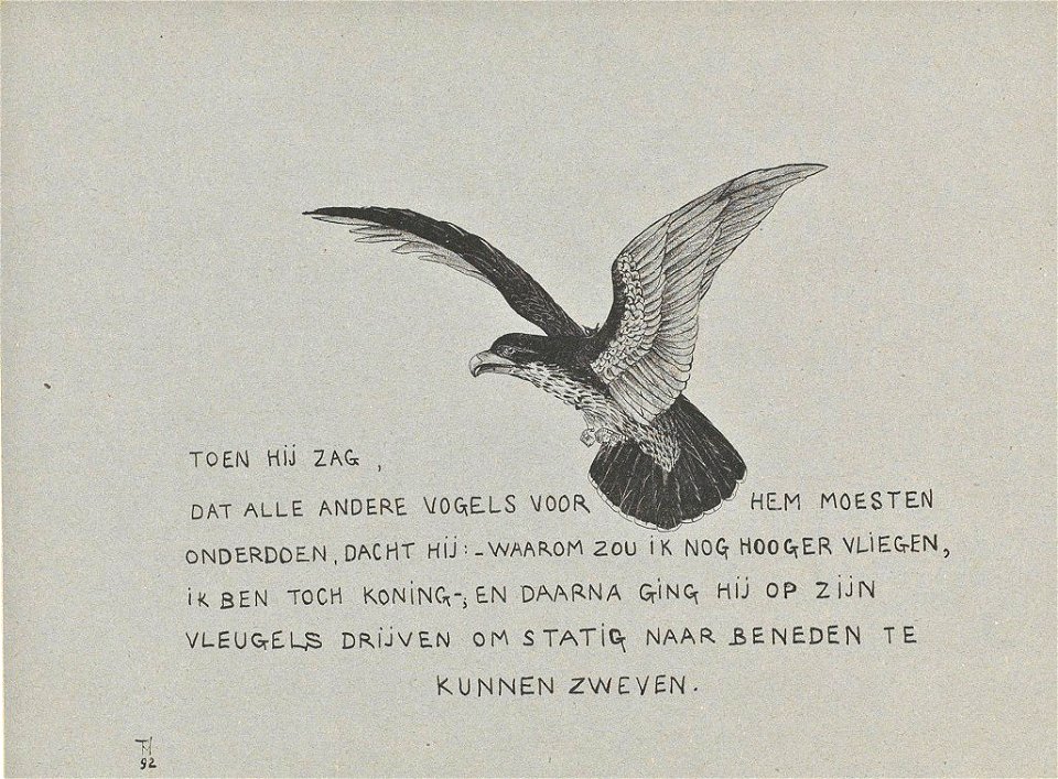 Leroidesoiseaux-17