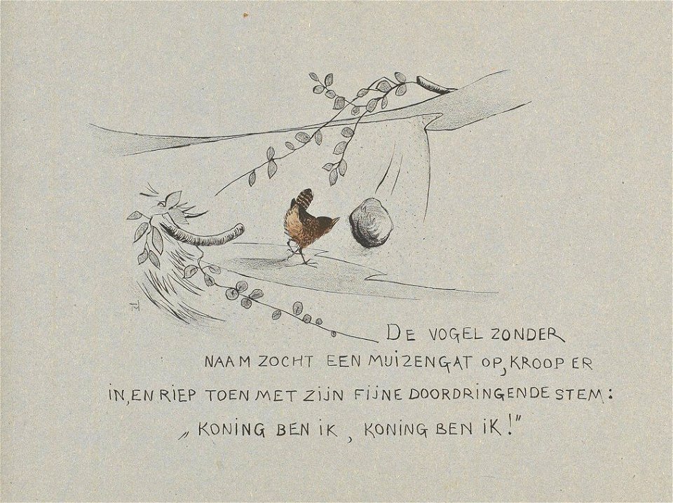 Leroidesoiseaux-25
