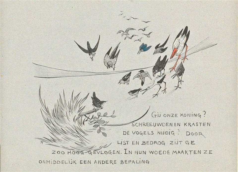 Leroidesoiseaux-22