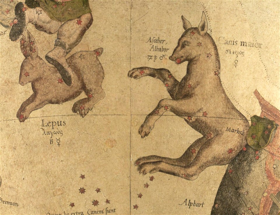Lepus et Canis Major - Mercator
