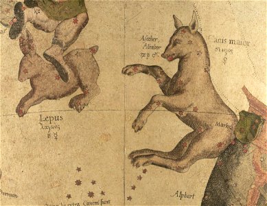 Lepus et Canis Major - Mercator