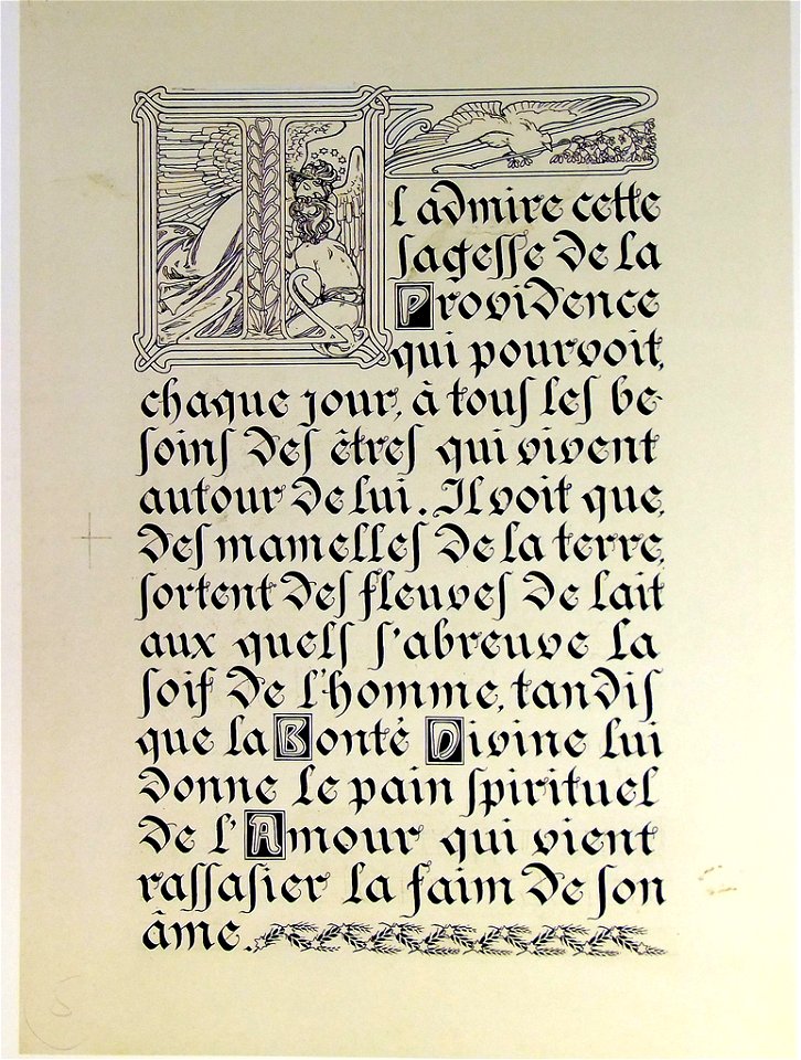 Lepater6