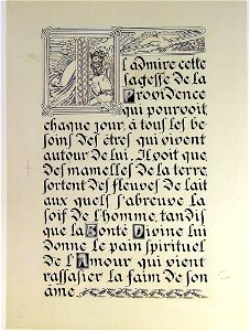 Lepater6