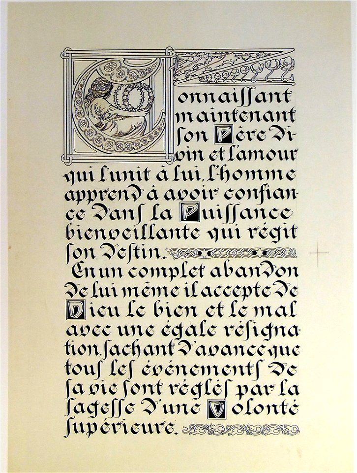 Lepater8