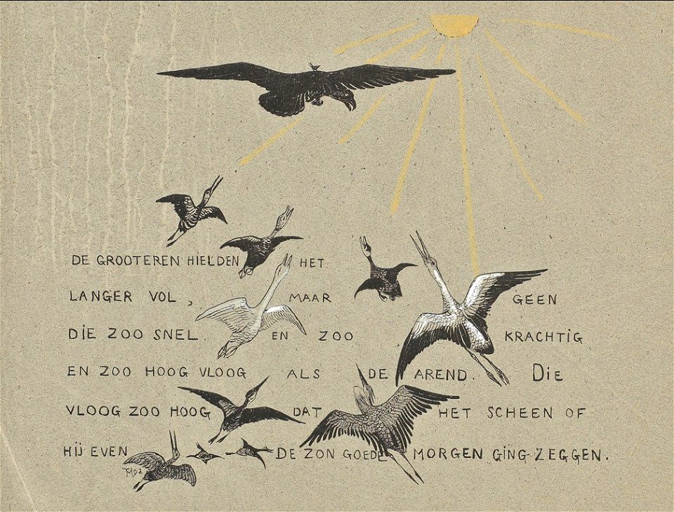 Leroidesoiseaux-16