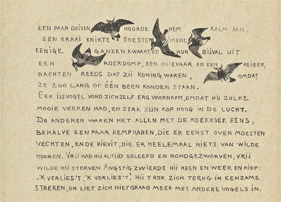 Leroidesoiseaux-07