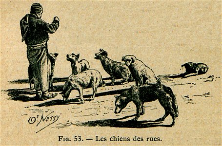 Les chiens des rues - Beauregard J - 1896