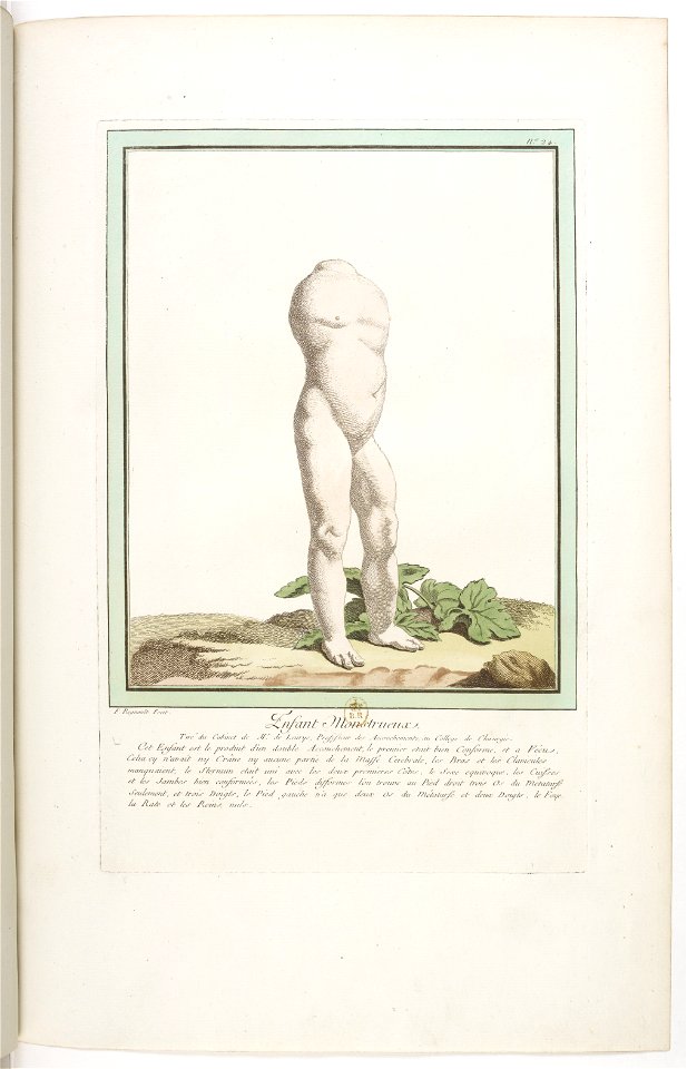 Les écarts de la nature page31