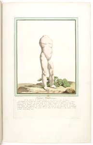 Les écarts de la nature page31