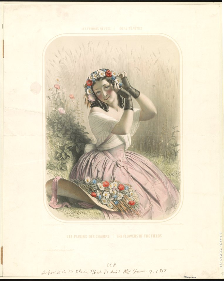 Les femmes révées-ideal beauties. Les fleurs des champs-the flowers of the fields LCCN2003677841