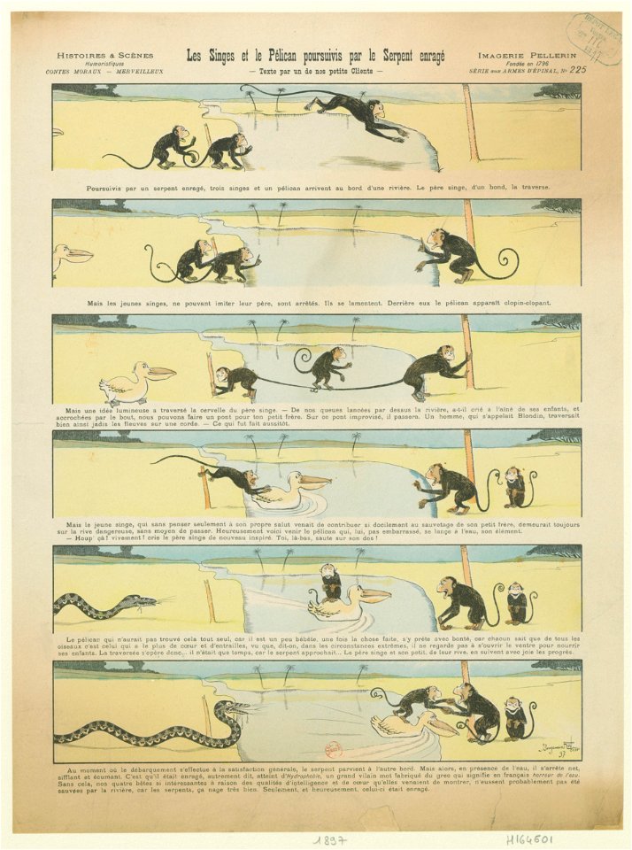 Les singes et le pélican poursuivis par le serpent enragé