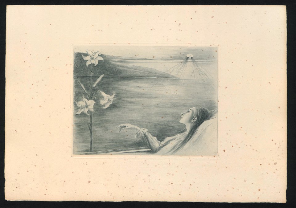 Les Lys de Morteraine, Louise Danse, ets, Museum Plantin-Moretus (Antwerpen) - PK MPB 0609 004