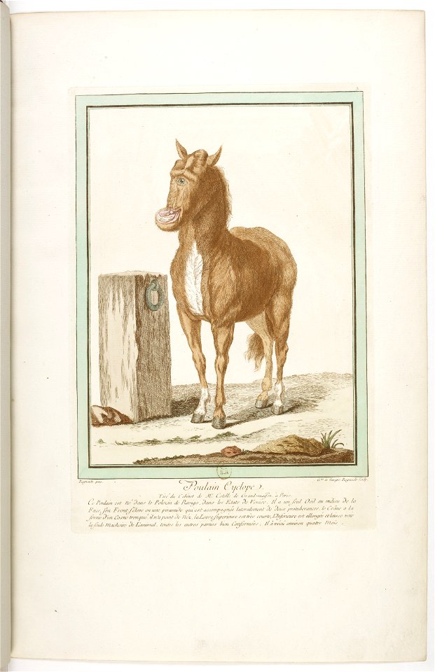 Les écarts de la nature page10