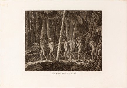 Les Puris dans leurs forêts, da Coleção Brasiliana Iconográfica