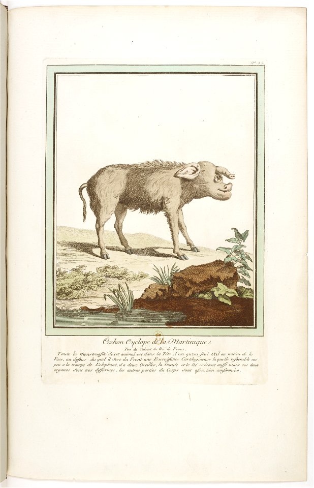 Les écarts de la nature page42