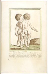 Les écarts de la nature page18