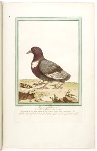 Les écarts de la nature page30
