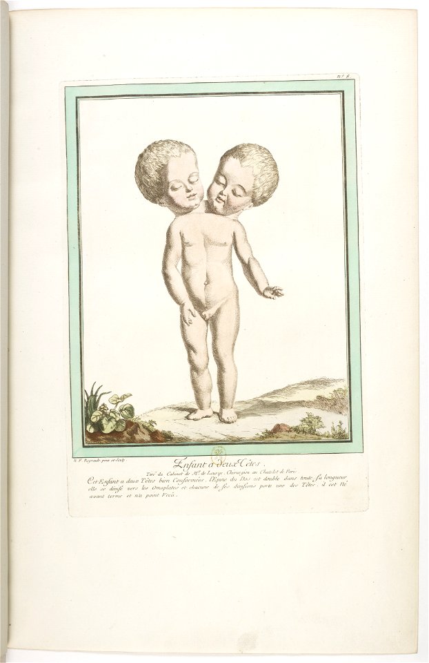 Les écarts de la nature page15