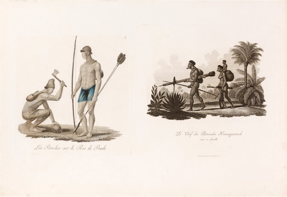 Les Patachos sur le Rio do Prado, da Coleção Brasiliana Iconográfica