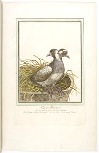 Les écarts de la nature page23