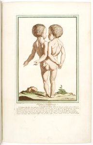 Les écarts de la nature page34